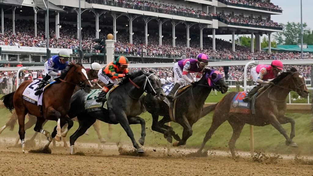 Horse Betting